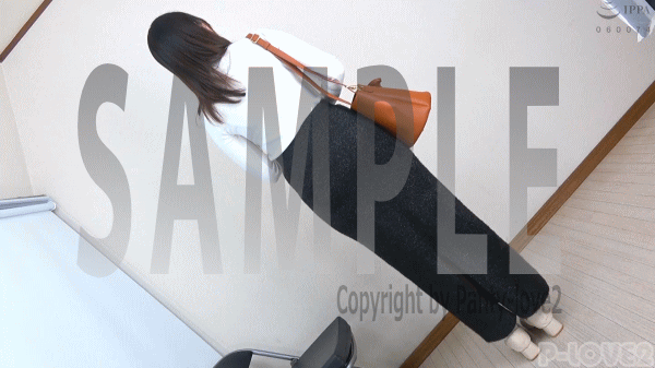image170.gif